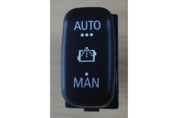 Item Name